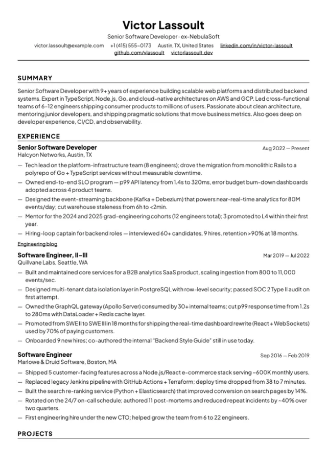 Modern Professional layout preview